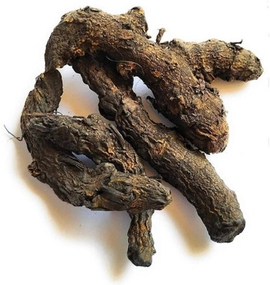 Behuria Curcuma caesia Kali Haldi Seed(5 per packet)