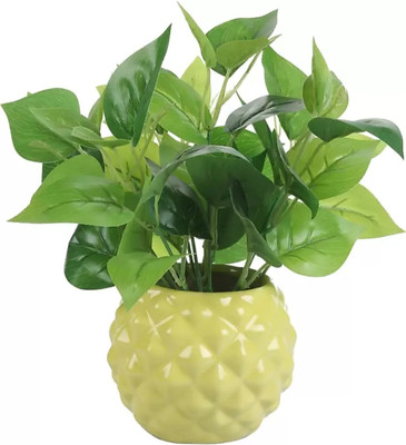 SBC Plant Container Set(Ceramic)