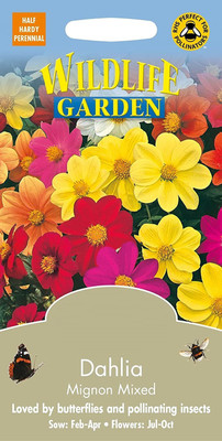 VibeX Dahlia Seeds Seed(20 per packet)