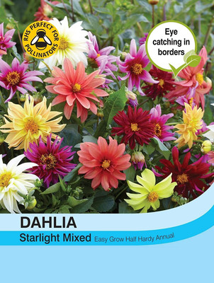 VibeX Dahlia Seed(5 per packet)