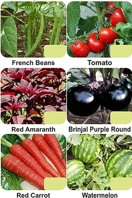 CYBEXIS 6-Varieties-Vegetable Seeds Combo Pack Seed(5 g)