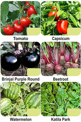 CYBEXIS 6-Varieties-Top Selling Vegetable Seeds Combo Seed(5 g)