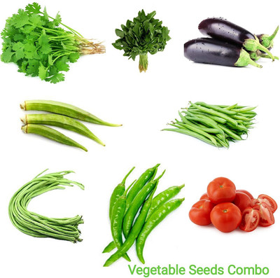 CYBEXIS 8-Varieties-Hybrid Vegetable Seeds Combo Seed(10 g)