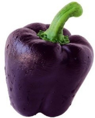 Sjeme Purple capsicum seeds (Imported) Seed(55 per packet)