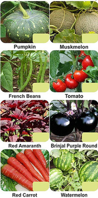 CYBEXIS 8-Varieties-Hybrid Vegetable Seeds Combo Seed(5 g)