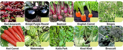 CYBEXIS 10-Varieties-F1 Hybrid Vegetable Seeds Combo Seed(10 g)