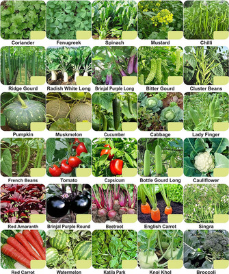 CYBEXIS 30-Varieties-F1 Hybrid Vegetable Seeds Combo Seed(10 g)