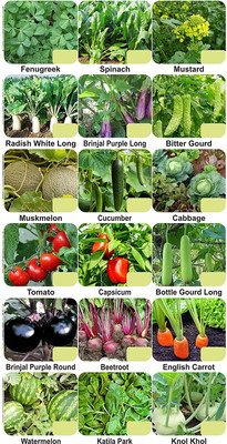 CYBEXIS 18-Varieties-F1 Hybrid Vegetable Seeds Combo Seed(10 g)