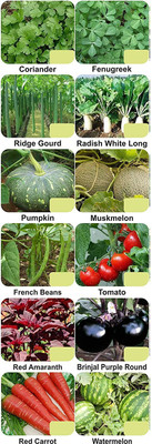 CYBEXIS 12-Varieties-Top Selling Vegetable Seeds Combo Seed(10 g)