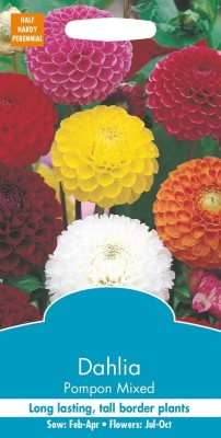 VibeX Dahlia Flower Seed(5 per packet)