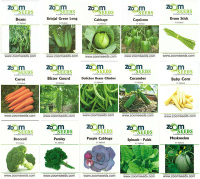 CYBEXIS Set of 15 Vegetable F1 Hybrid Seeds Kit Seed(10 g)