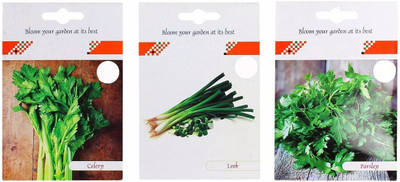 VibeX 3-Varieties-Celery, Leek, Parsley Seed(105 per packet)
