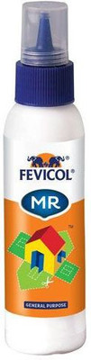 Pidilite Fevicol(Set of 1, White)