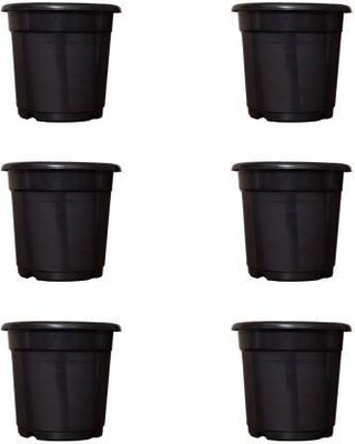 greengrow Nursery Plant Container Set 8 Inch Set of 20 Plant Container Set Plant Container Set(Pack of 20, Plastic)