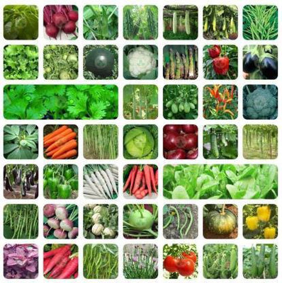 Greenery Hub 45 Variety Vegetable Combo With Instruction Manual Seed(50 per packet)