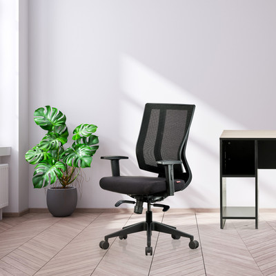 Featherlite Liberate MB Mesh Fabric Office Adjustable Arm Chair(Black, Optional Installation Available)