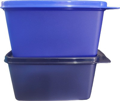 TUPPERWARE Plastic Utility Container  - 1200 ml(Pack of 2, Multicolor)