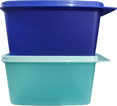 TUPPERWARE Plastic Utility Container  - 1200 ml(Pack of 2, Multicolor)