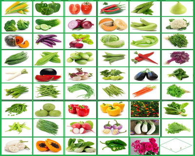 Greenery Hub ASD14 50 DIFFERENT VEGETABLES AND FRUIT PREMIUM COMBO PACK Seed(2010 per packet)
