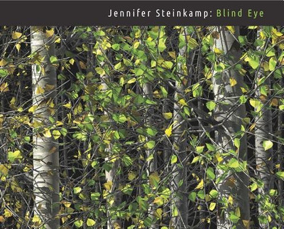 Jennifer Steinkamp(English, Paperback, Clark Art Institute)