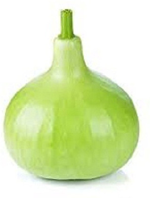Sjeme Bottle gourd bulb Bottle Gourd Lauki seed Seed(110 per packet)