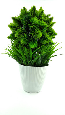 RESILIENCE Best For Home/Office Table Decoration or Gift Table Flower Pot Bonsai Wild Artificial Plant  with Pot(24 cm, Green)