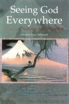 Seeing God Everywhere(English, Paperback, unknown)