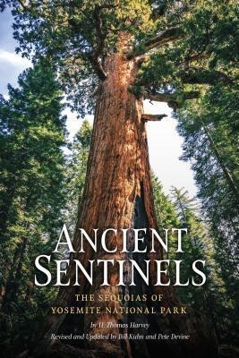 Ancient Sentinels: The Sequoias of Yosemite National Park(English, Paperback, Harvey Thomas)