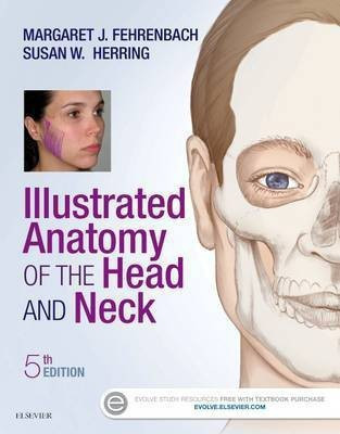 Illustrated Anatomy of the Head and Neck - E-Book(English, Electronic book text, Fehrenbach Margaret J Rdh MS)