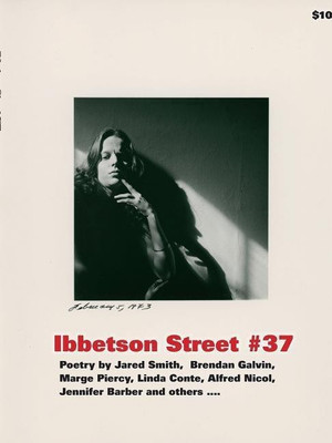 Ibbetson Street #37(English, Paperback, Holder Doug)