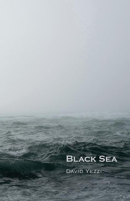 Black Sea(English, Paperback, Yezzi David)