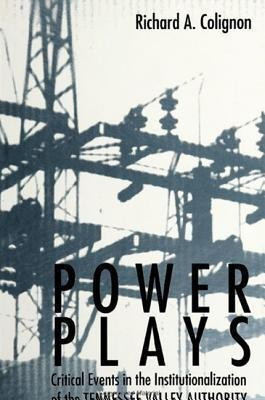 Power Plays(English, Paperback, Colignon Richard A.)