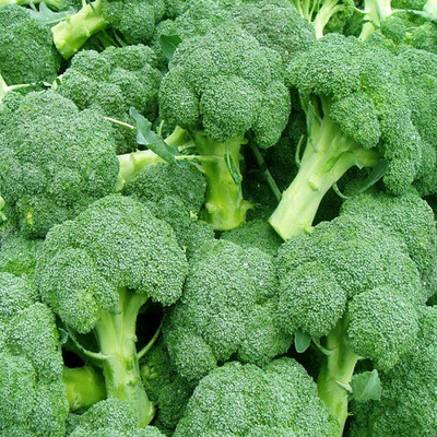 Sjeme Hari phool gobi broccoli seed Seed(50 per packet)