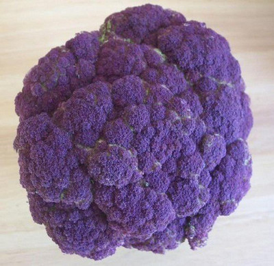 Sjeme Purple broccoli broccoli seed Seed(20 per packet)