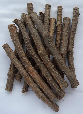 VibeX Giloy Plant/ Tree Guruch Fresh Stems Seed(20 per packet)