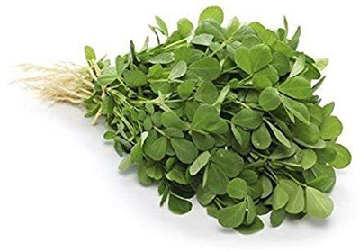 modernseed Methi/Fenugreek Seed(15 per packet)