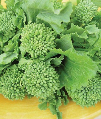 Sjeme Broccoli raab (rapini) broccoli seed Seed(300 per packet)