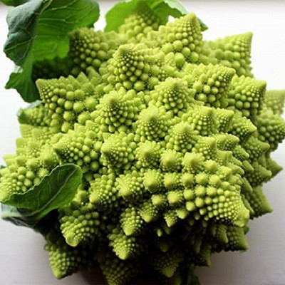 Sjeme Romanesco broccoli broccoli seed Seed(170 per packet)