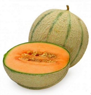 PLANTZON Muskmelon Hybrid Imported Seed(20 per packet)