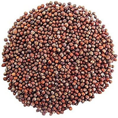 Sjeme Broccoli raab (rapini) broccoli seed Seed(400 per packet)