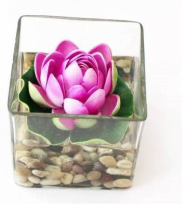 Green Plant indoor Lotus2004 Bonsai Wild Artificial Plant  with Pot(8 cm, Multicolor)