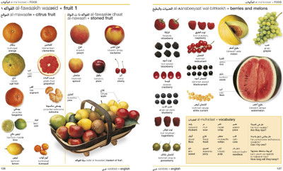 Arabic-English Bilingual Visual Dictionary with Free Audio App(English, Paperback, DK)