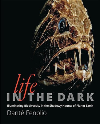 Life in the Dark(English, Hardcover, Fenolio Dante)