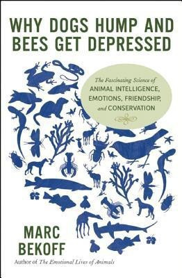 Why Dogs Hump and Bees Get Depressed(English, Paperback, Bekoff Marc)