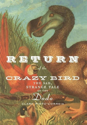 Return of the Crazy Bird(English, Hardcover, Pinto-Correia Clara)
