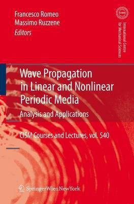 Wave Propagation in Linear and Nonlinear Periodic Media(English, Paperback, unknown)