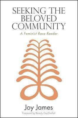 Seeking the Beloved Community(English, Hardcover, James Joy)