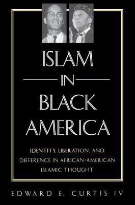 Islam in Black America(English, Hardcover, Curtis IV Edward E.)