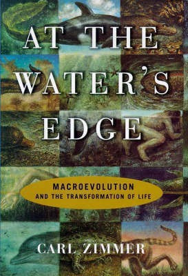 At the Water's Edge(English, Hardcover, Zimmer Carl)