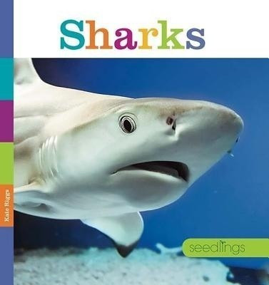 Sharks(English, Paperback, Riggs Kate)